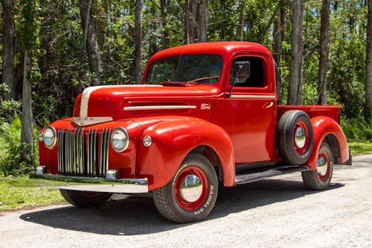 Vintage Ford Show